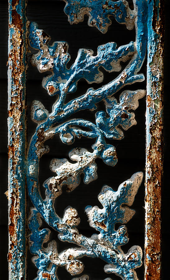 Paint Photograph - Crackled Coats by Christopher Holmes