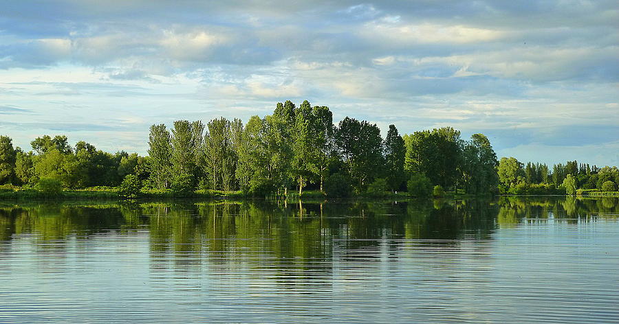 Craigavon Lake's Photograph by Cat Shatwell