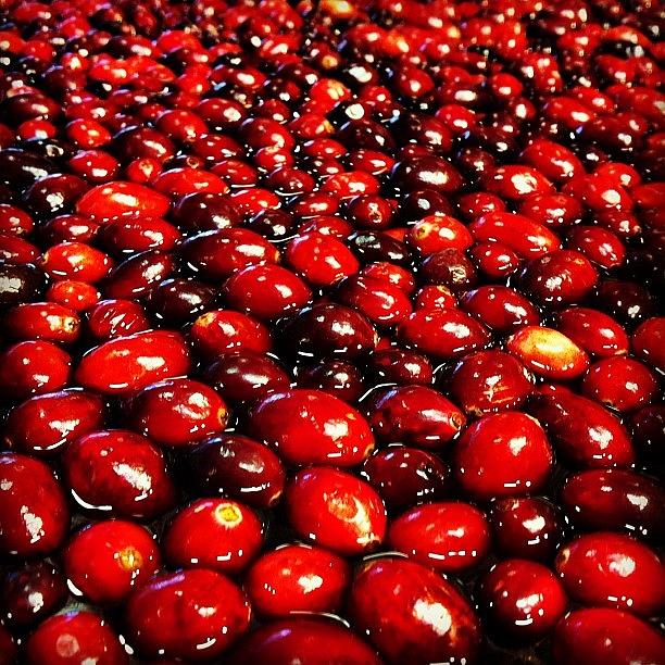Fruit Photograph - #cranberries by Laura OConnell