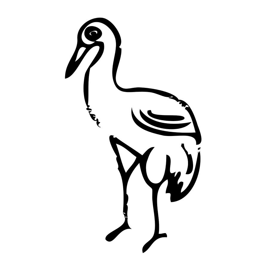 Crane Bird by Karl Addison