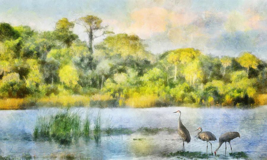 Crane Lake Evenings Digital Art by Frances Miller