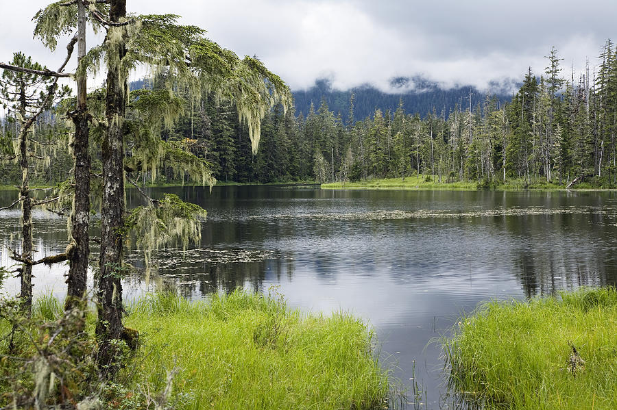 Landscape Photograph - Crane Lake, Tongass National Forest by Konrad Wothe
