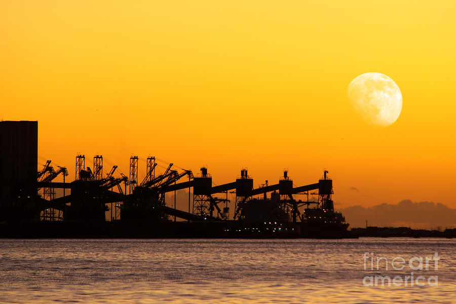 Cereal Photograph - Cranes at Sunset by Carlos Caetano