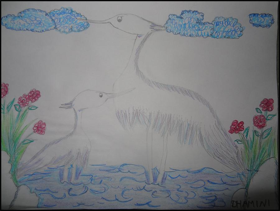 Wildlife Drawing - Cranes by Dhamini Rastogi