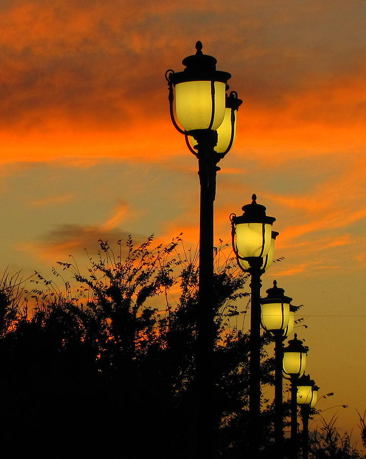 Cranes Roost Lights Photograph by RobLew Photography