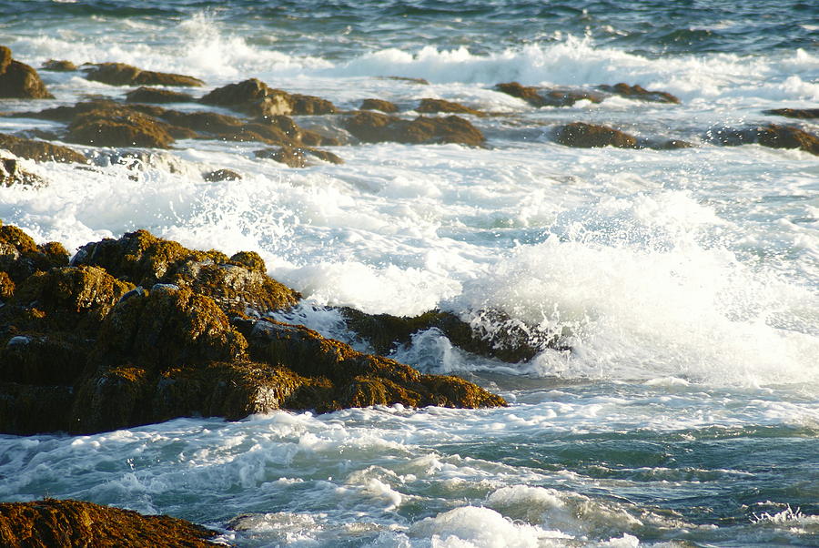 Crashing Waves Photograph by Joe Faherty