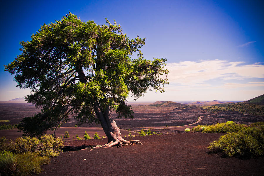 Craters Of The Moon Photograph