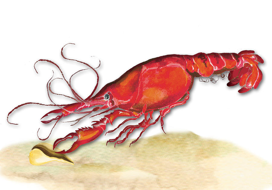 Crawfish Painting by Anne Beverley-Stamps