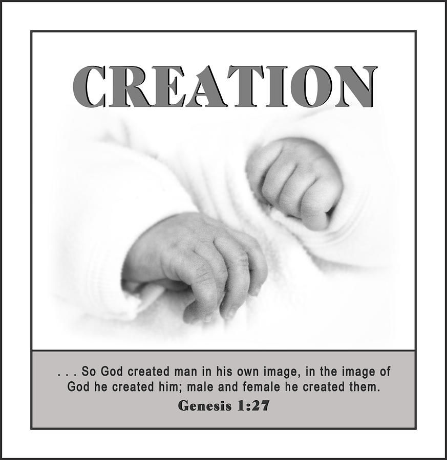 Creation Poster Photograph by Trudy Wilkerson