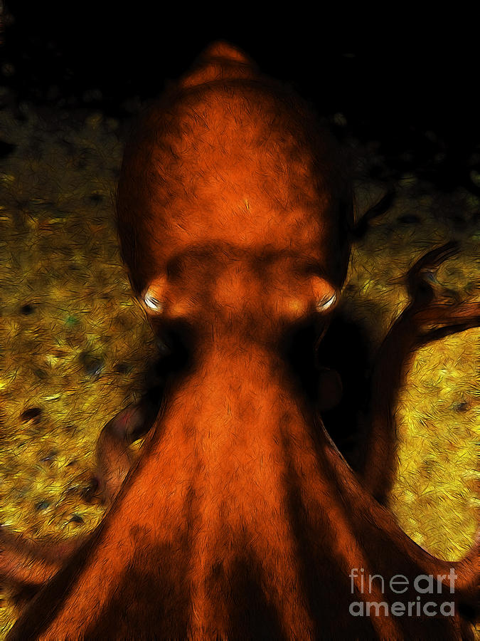 Creatures of The Deep - The Octopus - v4 - Orange Photograph by Wingsdomain Art and Photography
