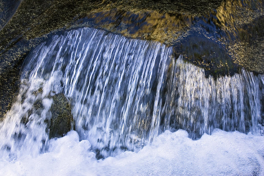 Creek In Mount Rainier National Park Photograph by Konrad Wothe