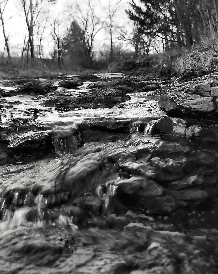 Black And White Photograph - Creek by Laurie Douglas