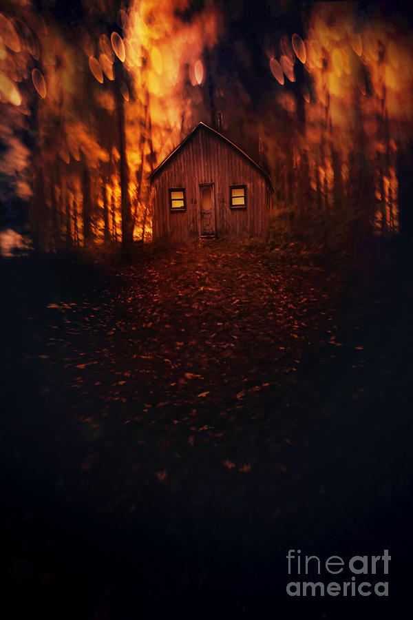 Creepy cabin in the woods Photograph by Sandra Cunningham