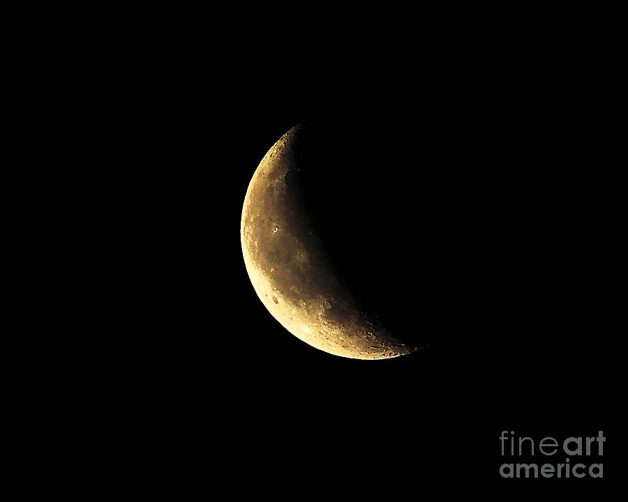 Crescent Close Up Photograph by Al Powell Photography USA