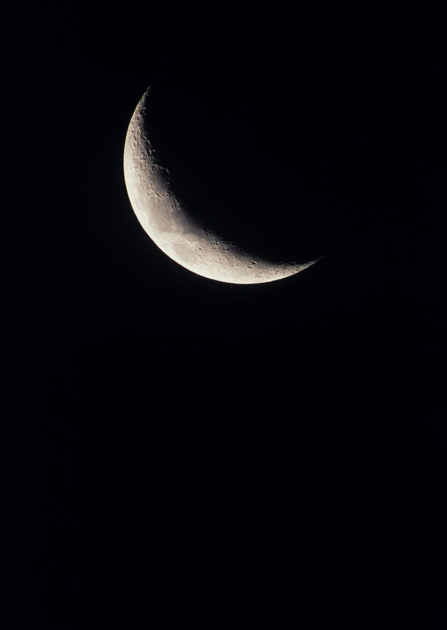 Crescent Moon Photograph by David Nunuk