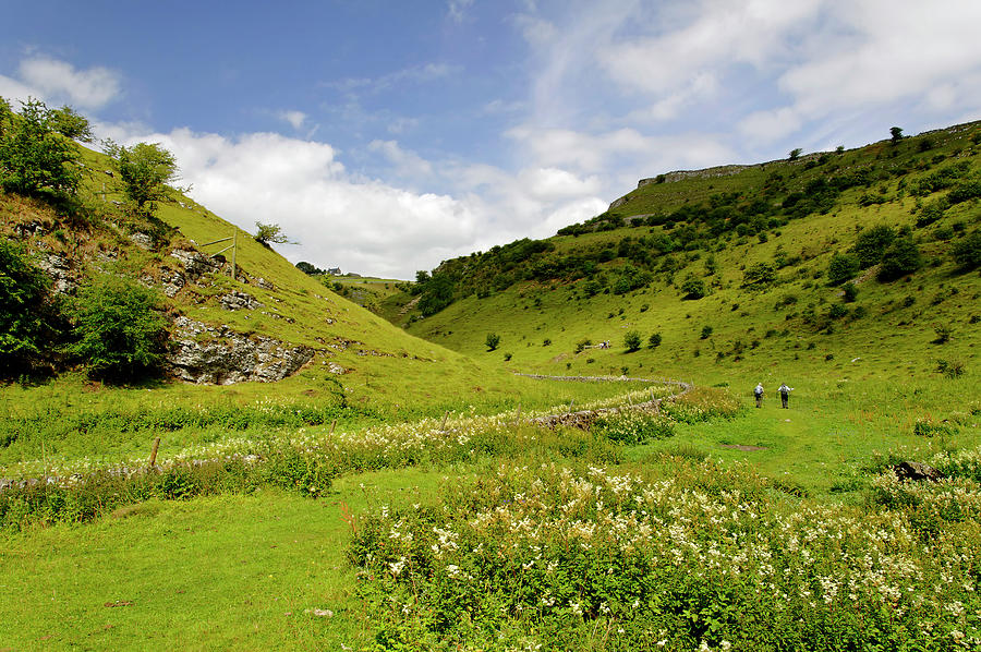 Cressbrook Dale near to Wardlow Photograph by Rod Johnson