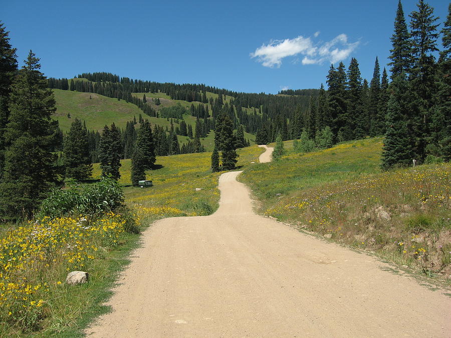 Crested Butte Dirt Road Painting by Kathryn Barry