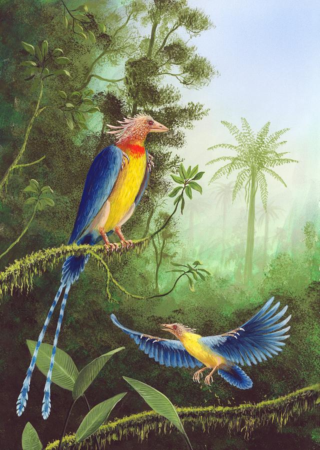 Cretaceous Birds, Artwork Photograph by Richard Bizley - Fine Art 