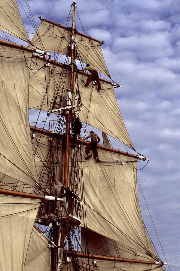 Crew in rigging of tall ship Photograph by Cliff Wassmann