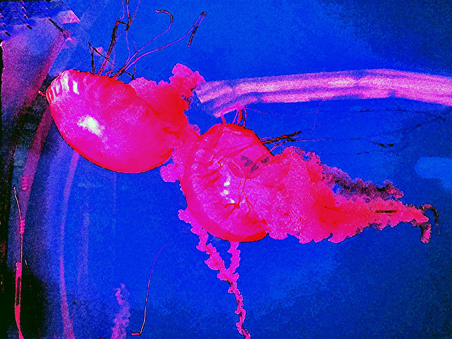 Crimson Jelly Digital Art by Barkley Simpson