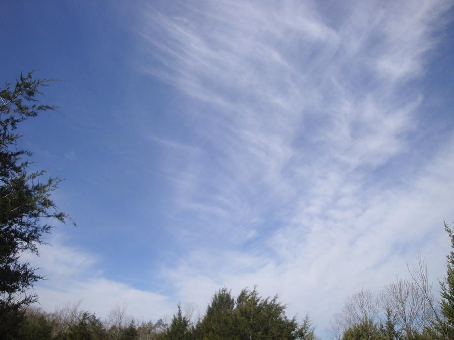 Crisscrossing Cirrus Clouds Photograph by Tonia Darling - Fine Art America