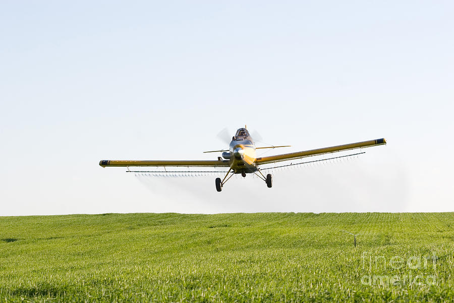 Crop Duster Photograph by Cindy Singleton