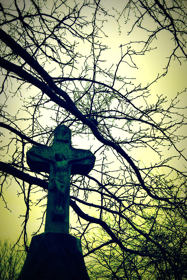 Cross In The Trees Photograph by Lora Mercado