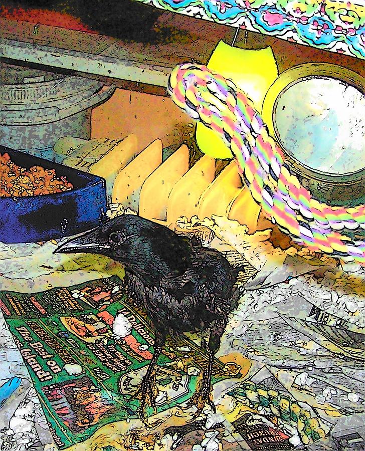 Crow in Rehab Mixed Media by YoMamaBird Rhonda