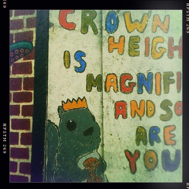 Crown Heights Is Magnificent & So Are Photograph by Bonnie Natko