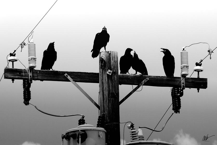 Crows and Insulators on Route 66 Photograph by Mark Valentine Crows and Insulators on Route 66 Photograph by Mark Valentine