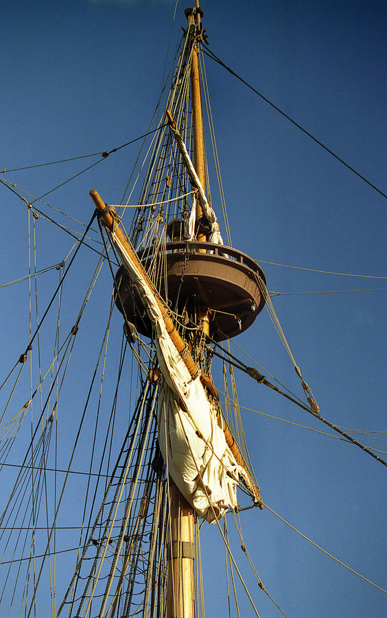 Crows Nest Photograph by Skip Willits