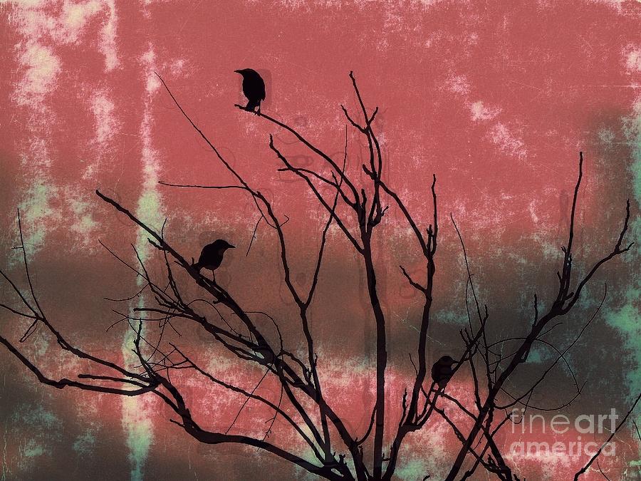 Crow Photograph - Crows The Watcher by Sacred  Muse