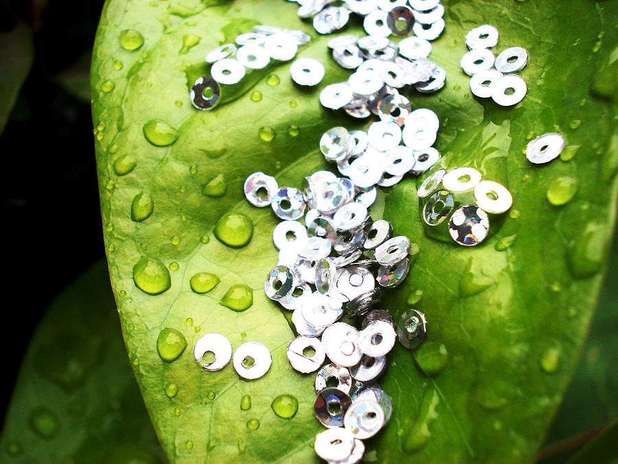 Crystal dew drops on leaf Painting by Sumit Mehndiratta