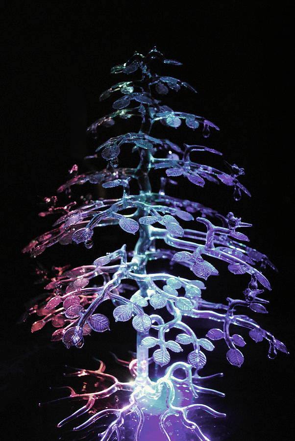 Crystal Tree In Color Photograph by Sumit Mehndiratta