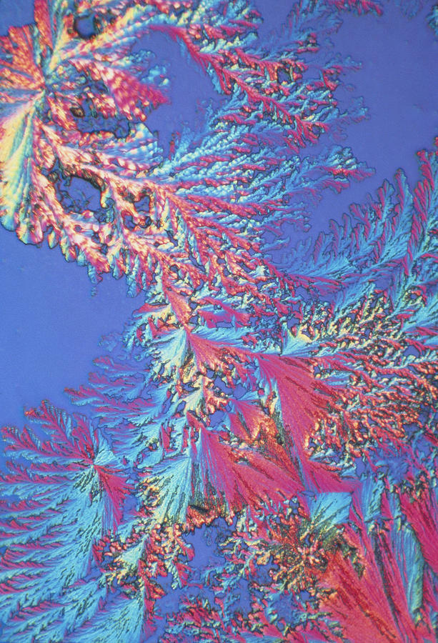 Lm Photograph - Crystals Of Adrenalin Hormone by David Parker