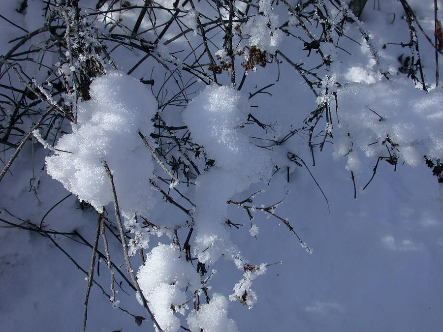 Crytalize Snow Shadows by Jan Piet Crytalize Snow Shadows by Jan Piet