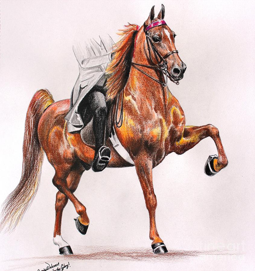 Horse Drawing - CS Red Firefly by Carolyn Valcourt