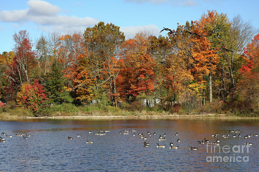 CT Autumn Colors Photograph by Sue Karski