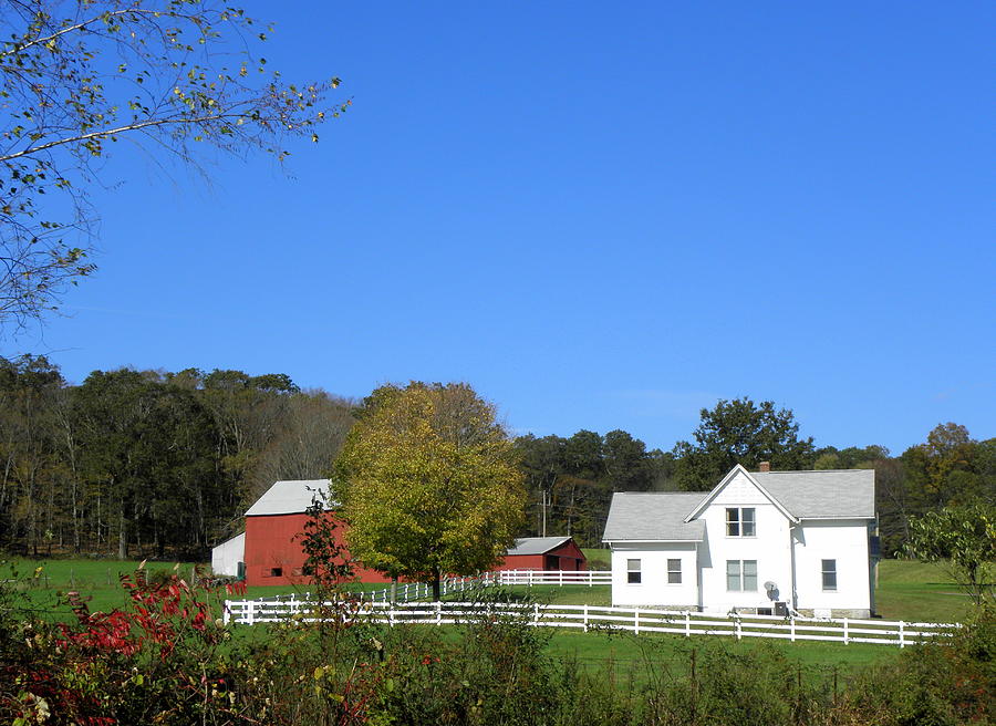 CT Farm in October Photograph by Kim Galluzzo Wozniak | Fine Art America