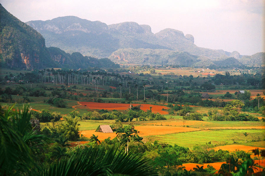 Cuban Landscape Photograph by Claude Taylor