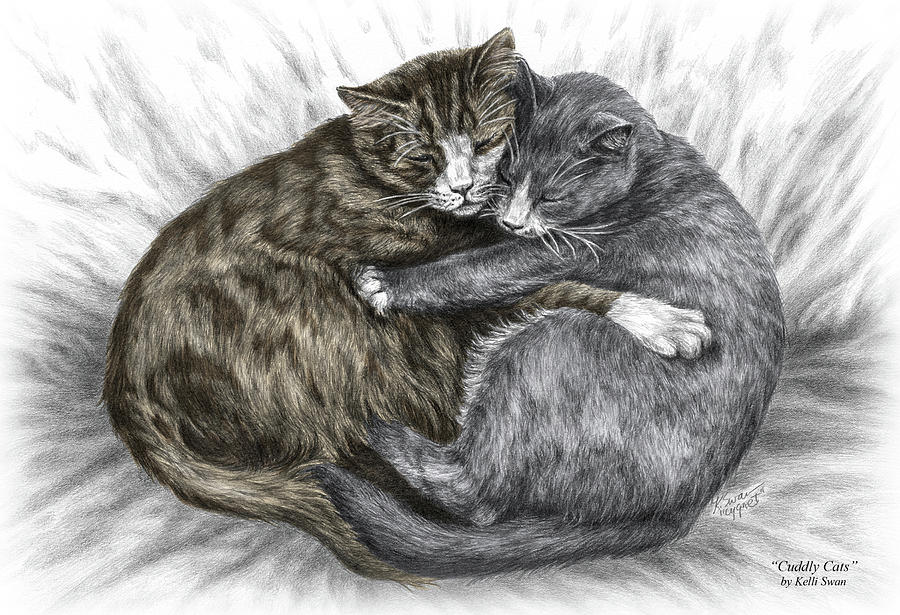 Cuddly Cats - Color Tinted Art Print Drawing by Kelli Swan