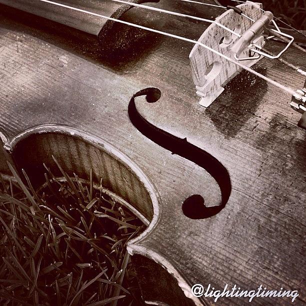 Music Photograph - Culture & Texture #violin #classical by Lighting and Timing