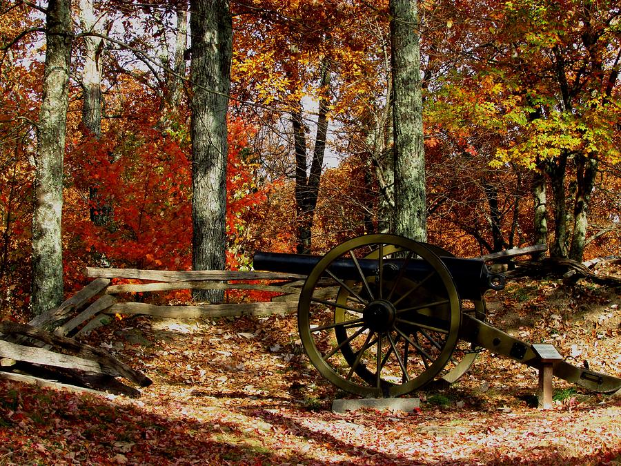 Cumberland Gap Cannon Photograph by Kathy Long