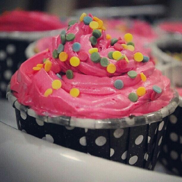 Cupcakes!!! @robbyzone Photograph by Kirty Khanijou
