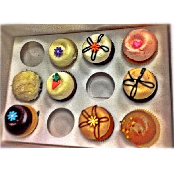 Candy Photograph - Cupcakes!!! Which One Do Ya Want? by Davey Darko