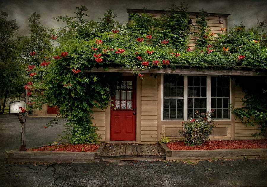 Curb Appeal Photograph by Robin-Lee Vieira