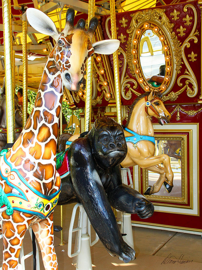 Animal Photograph - Curious Carousel Beasts by Diana Haronis