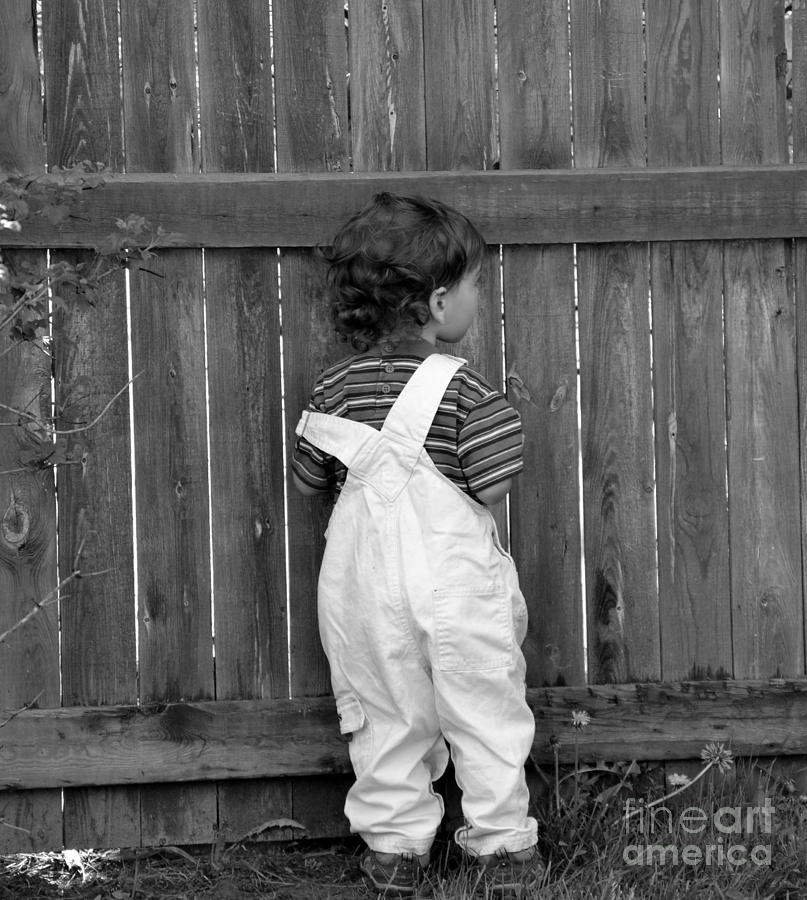 Curious Child Photograph by Dyana R - Fine Art America