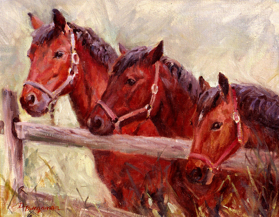 Horse Painting - Curious Three by Donna Bingaman