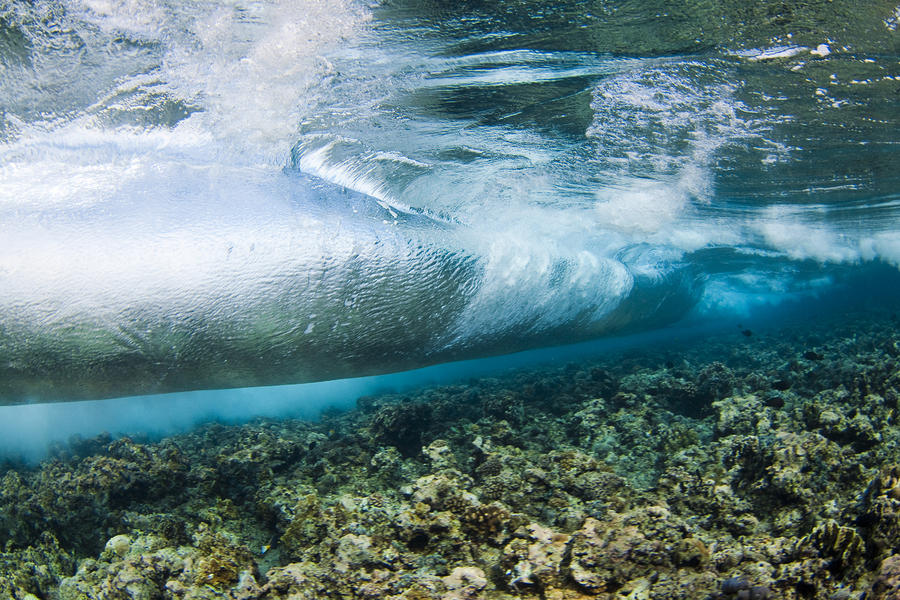 Curl Of Wave From Underwater by Dave Fleetham - Printscapes